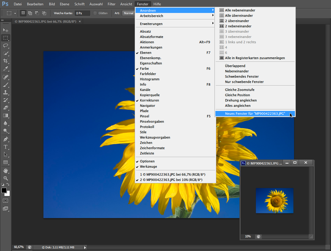 Photoshop CS6: Icons einfacher bearbeiten mit der Zweifach-Ansicht