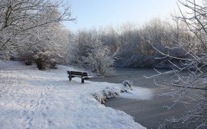 Ufer eines zugefrorenen Sees mit Schnee und Fußabdrücken, im Vorder- und Hintergrund schneebesetzte Zweige und Äste im seitlichen Licht der gelblich flach scheinenden Sonne