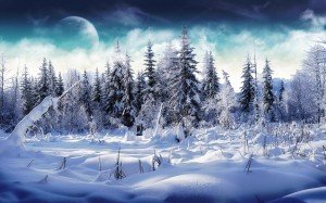 Schneebehangene Nadelbäume vor einem dunkelblau wolkigen Himmel mit Mond