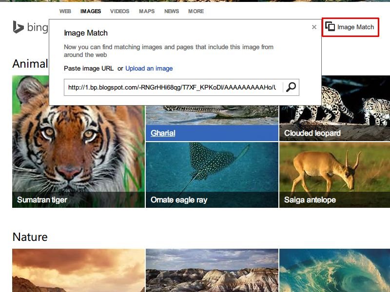 Bing-Bildsuche: Anhand eines Beispiel-Bilds suchen