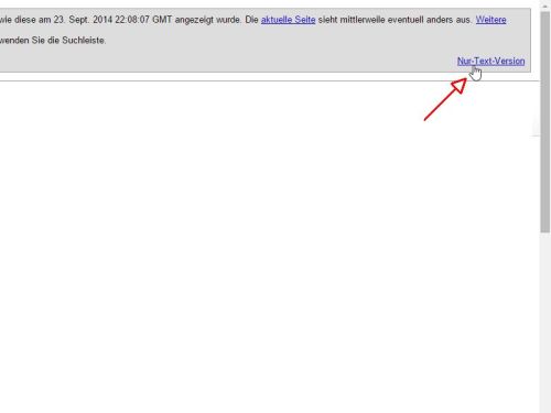 google-cache-nur-text