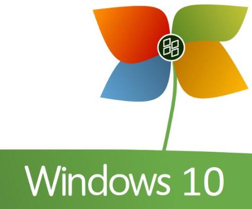 win10-flower