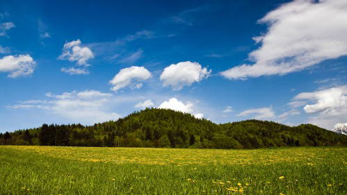 Fruehling-Kaernten-1920x1080