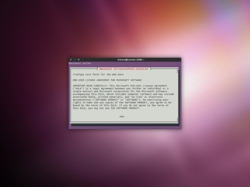 ubuntu-microsoft-schriften