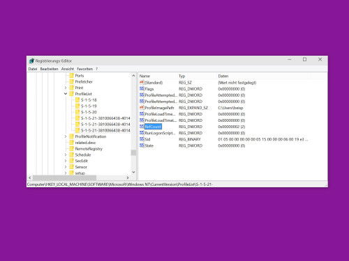 regedit-benutzerprofil-freischalten