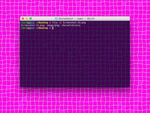 osx-terminal-fileinfo