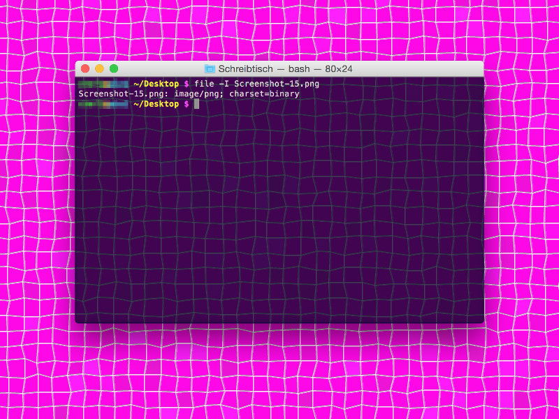 Typ einer Datei im Mac-Terminal ermitteln