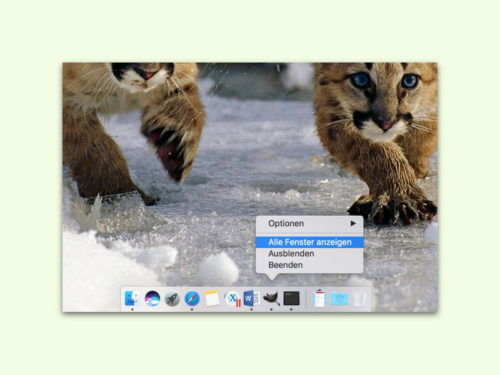 mac-alle-fenster-anzeigen