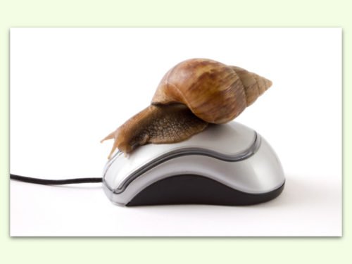 snail-mouse