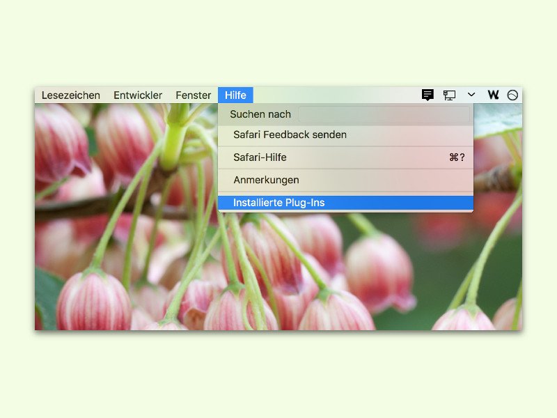 Herausfinden, welche Plug-Ins im Safari-Browser installiert sind