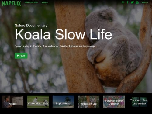 2016-11-06-napflix