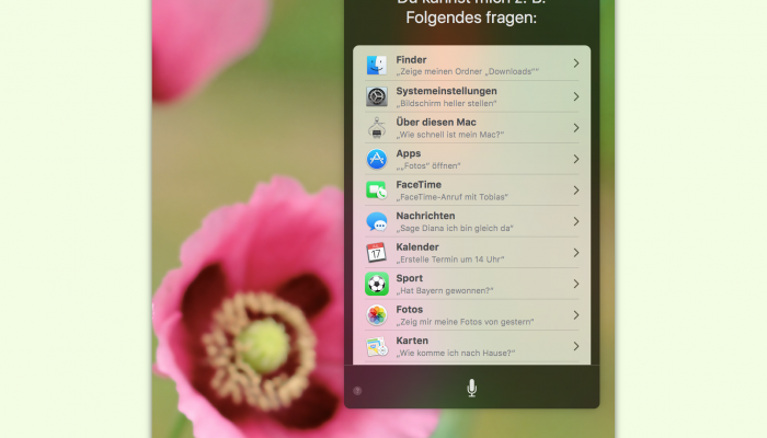 Was Kann Siri Alles
