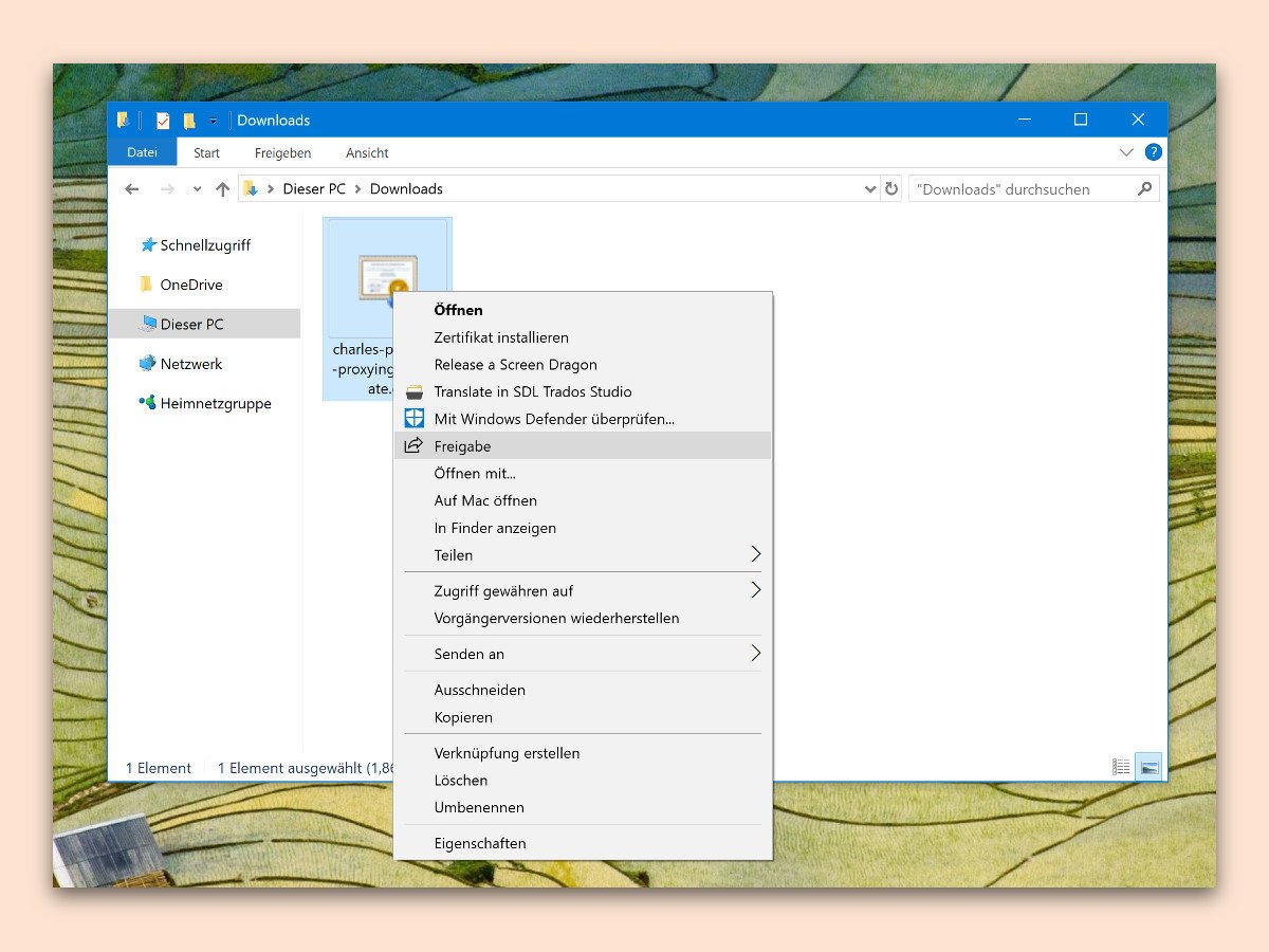 Windows 10: Freigabe-Eintrag aus Explorer entfernen