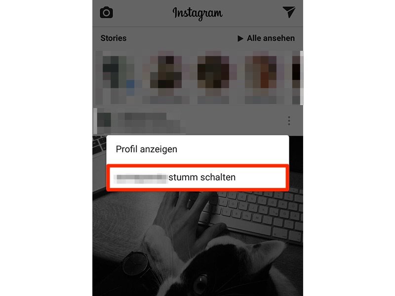 Stories in Instagram stumm schalten