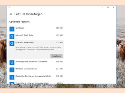 Windows 10: OpenSSH installieren