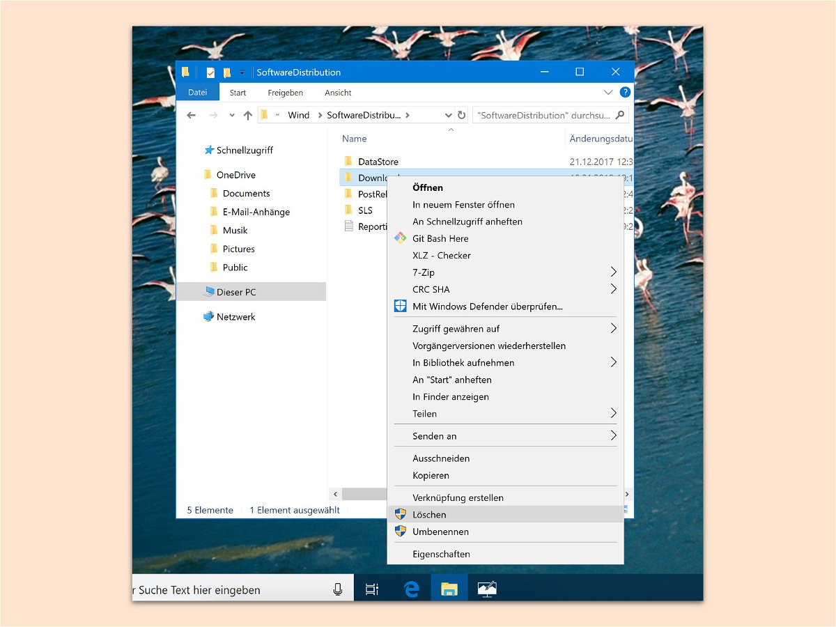 Geladenes Windows-10-Update löschen