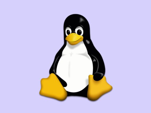 Linux-Apps besser kennen lernen