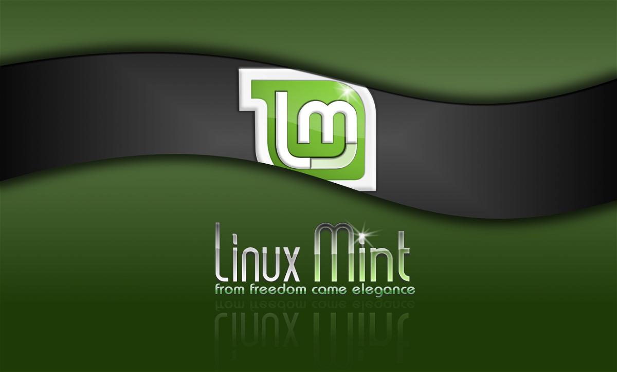 Vor dem Upgrade auf Linux Mint 19