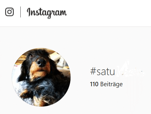 Eine eigene Internetseite mit Instagram-Bildern anlegen