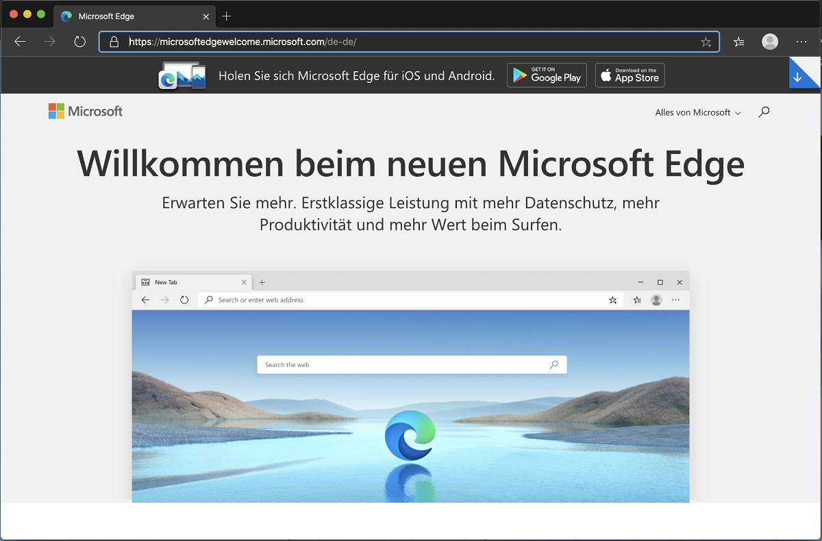 Microsoft Edge Chromium unter Windows ARM