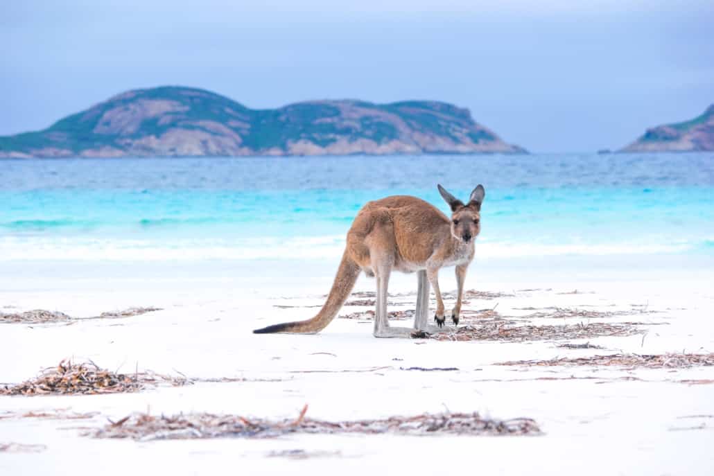 Australien