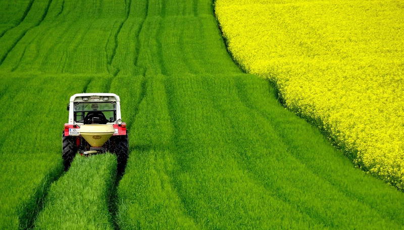 Nachhaltig reisen: FairTrip