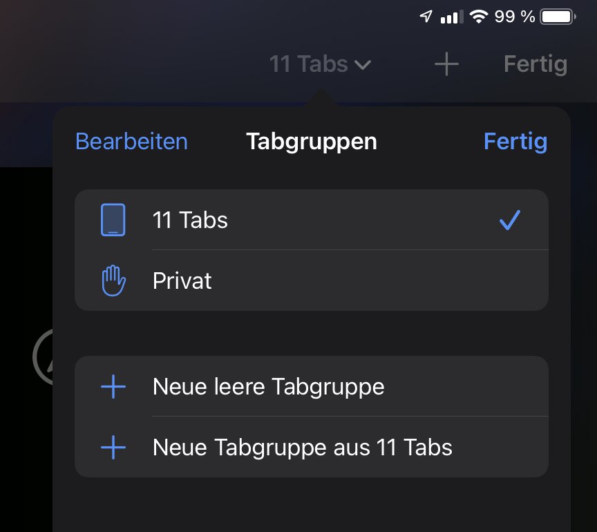 Seiten in Safari strukturieren in iOS 15
