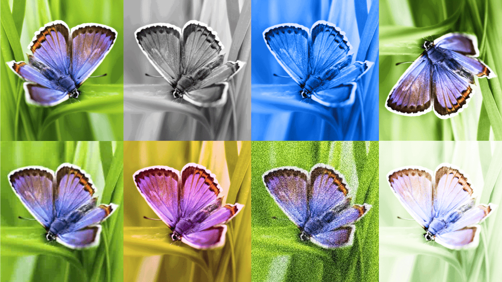 Google will mit unsichtbarem Wasserzeichen KI-Bilder erkennbar machen