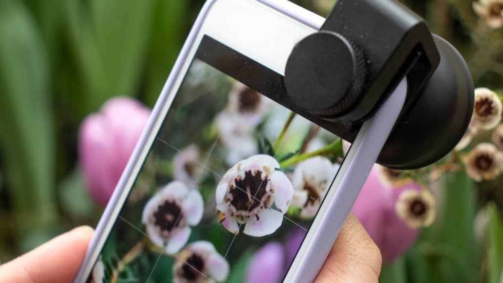 Smartphone mit Blumenfotografie und Mikroskopaufsatz