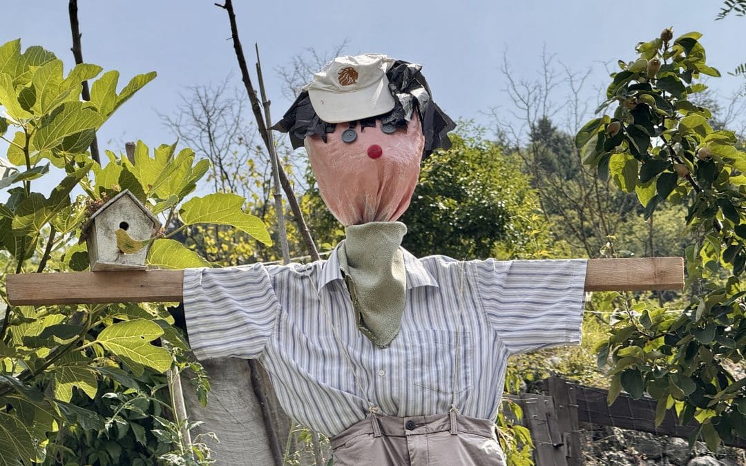 Sommer, Sonne, Smartphone: So entstehen unvergessliche Fotos mit dem Handy