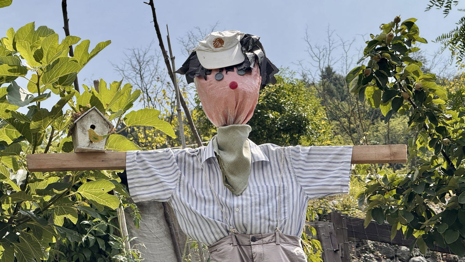 Eine bunte Vogelscheuche im Garten.