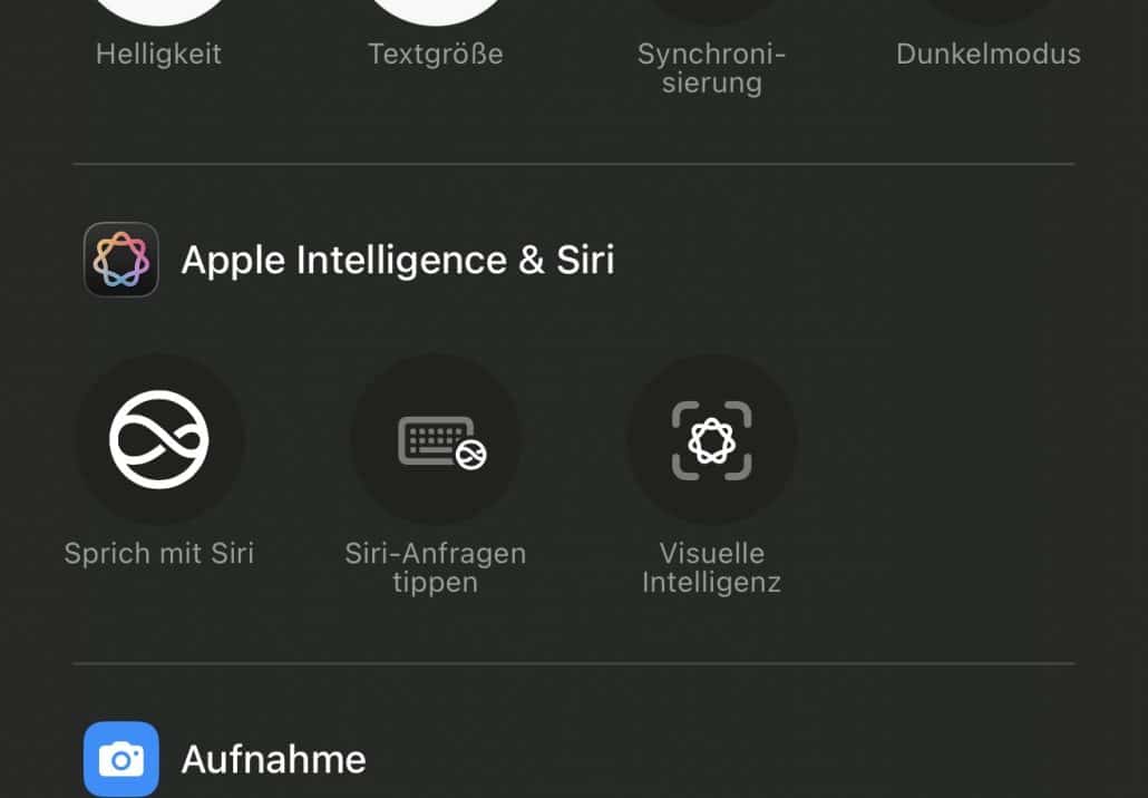 Einstellungen für Siri und visuelle Intelligenz