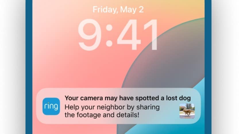 Benachrichtigung über einen vermissten Hund