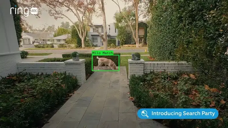 Die Ring-Kameras könenn verlorene Haustiere wiederfinden