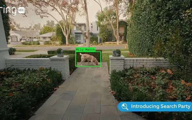 Ring-Kameras mit KI-Haustiersuche: Praktisch oder gruselig?